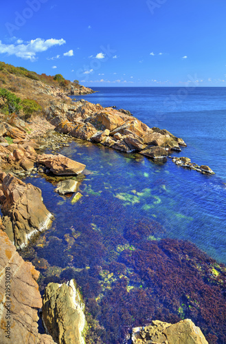 Beautiful landscape on rocky shore