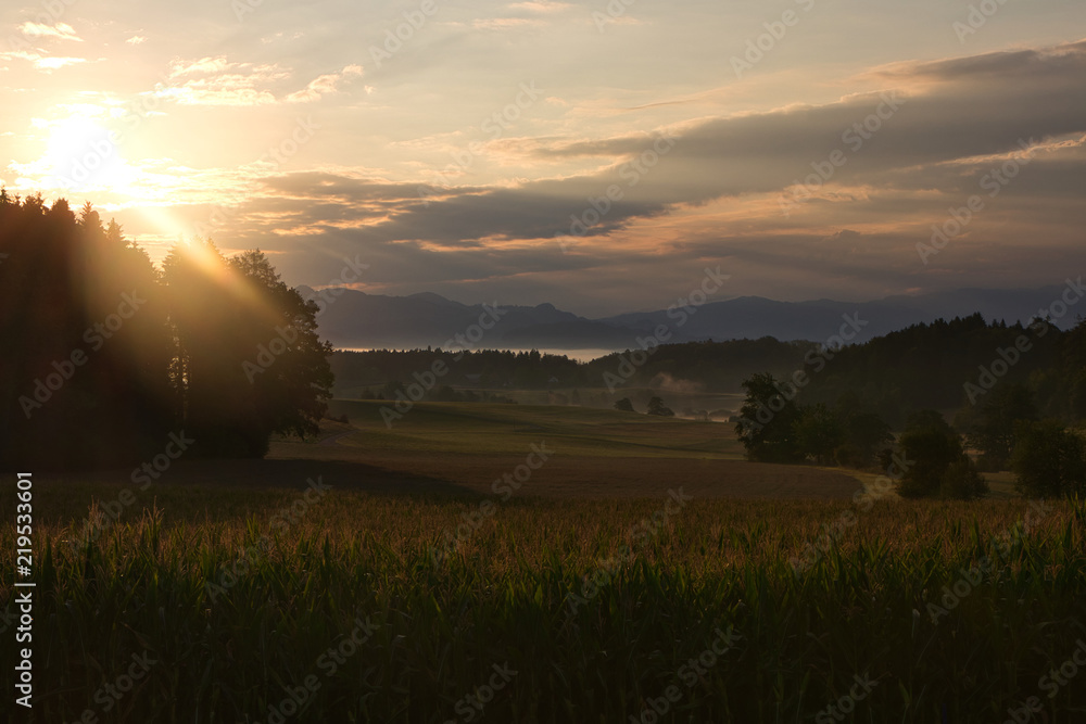 Sommer, Felder und Sonnenaufgang