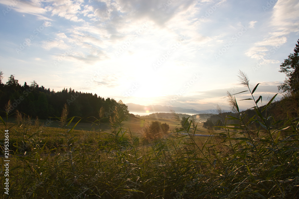 Sommer, Felder und Sonnenaufgang