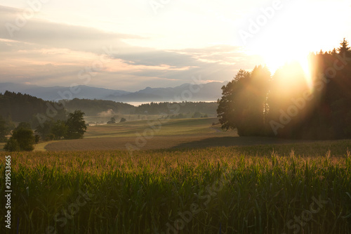 Obraz na płótnie Sonnenaufgang und Felder w salonie