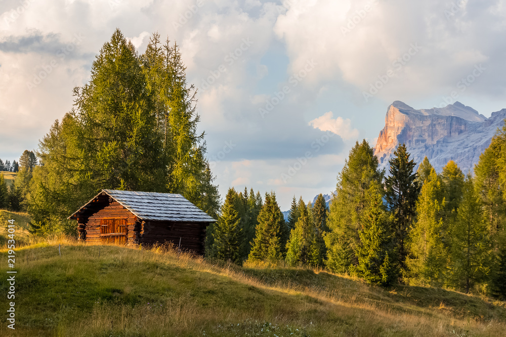 Wooden shed on a green grass hill on the edge of the forest with mountain rising in the background