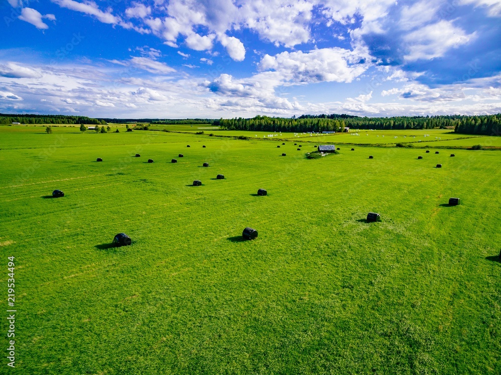 Aerial view of round straw bales in black plastic in green field in rural Finland. Aerial view of round straw bales in black plastic in green field in rural Finland.