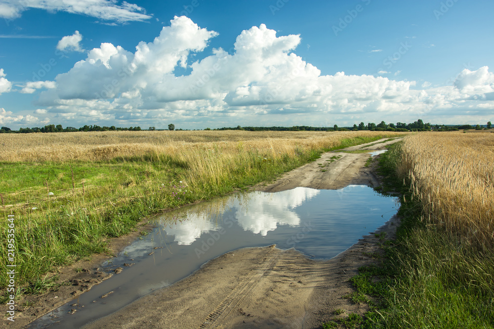 Large puddle on a dirt road through the fields of grain