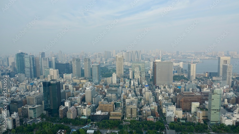 Tokyo / Tokio Stadtübersicht, Megametropole von oben