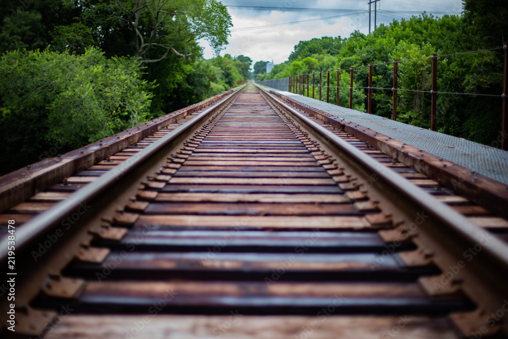 Obraz premium railway in the forest