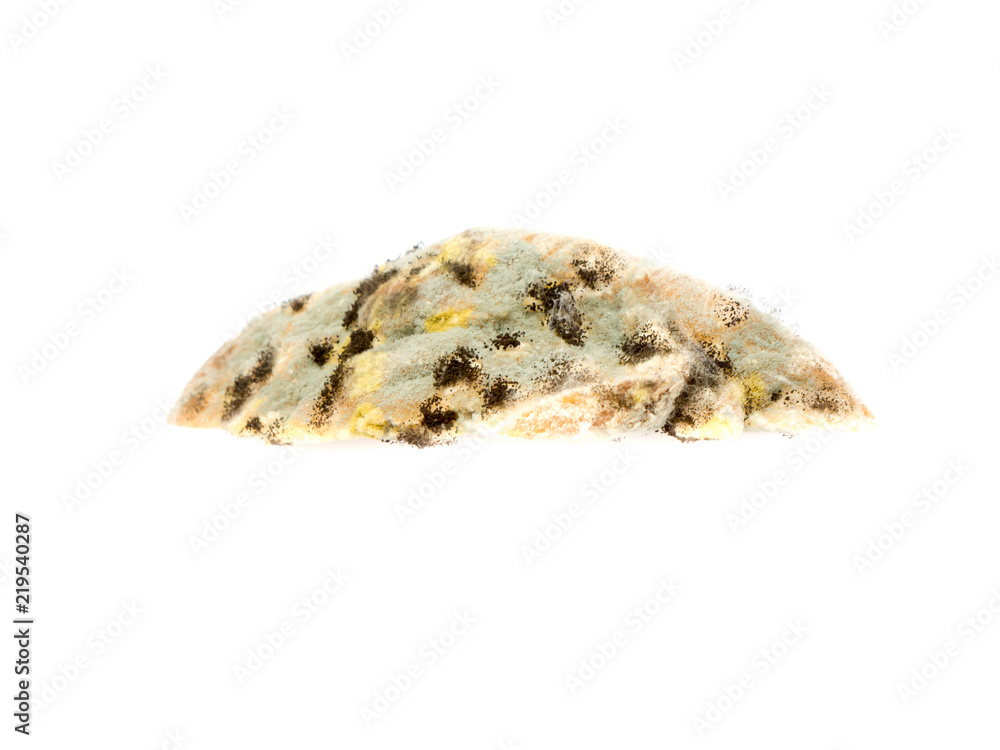 Moldy bread. Moldy bread.