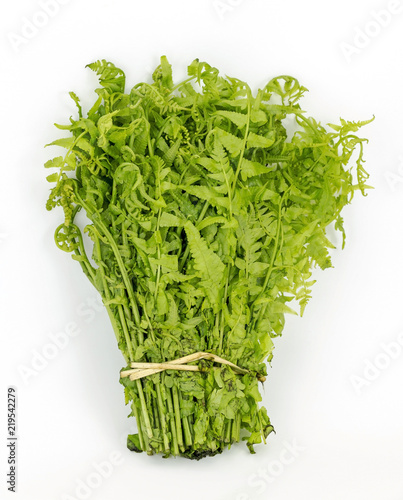 Bundle of fresh vegetable fern isolated on white background (Diplazium esculentum, Athyriaceae) photo