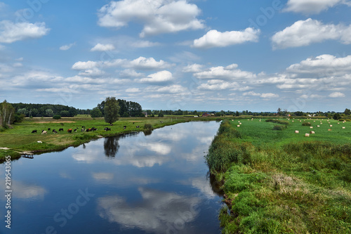 Fototapeta Naklejka Na Ścianę i Meble -  Notec River and rural landscape in summer in Poland.