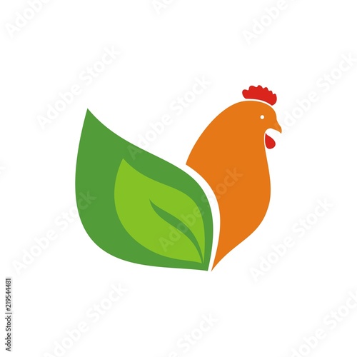 Курица