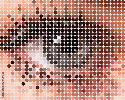 Illustration pattern of dots in the form of a human eye