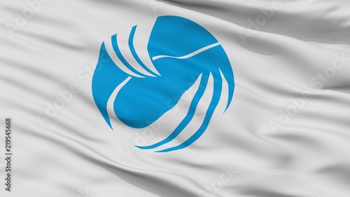 Toyooka City Flag, Country Japan, Hyogo Prefecture, Closeup View photo