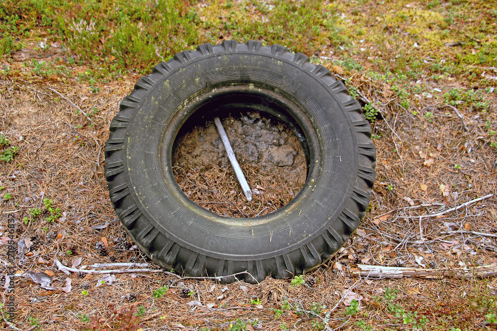 the old tire thrown out in the woods the old tire thrown out in the woods