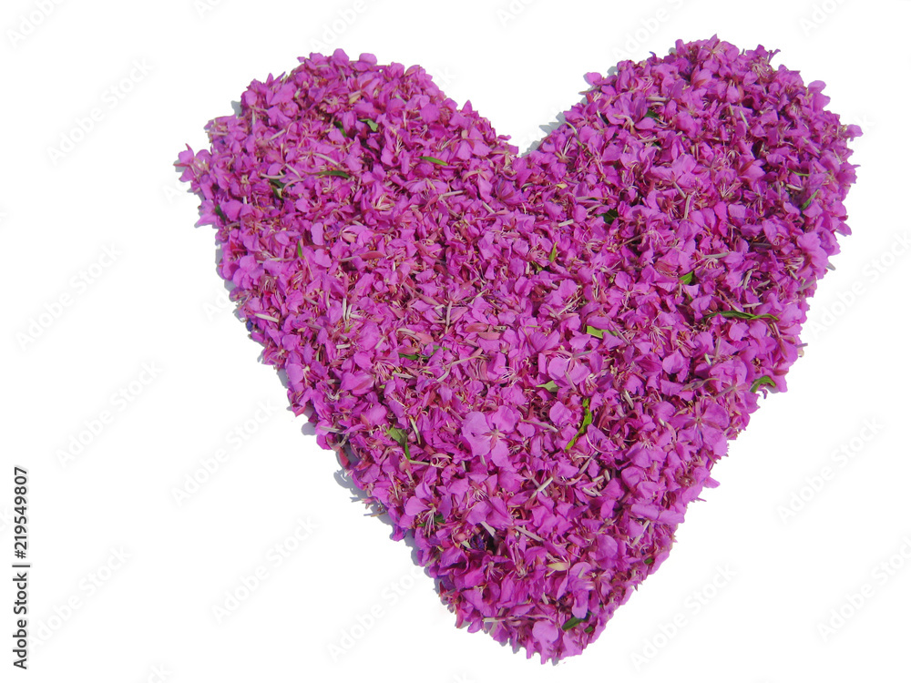 Pink Flower Heart on White Empty  Background on Sunny Day with Shades. Love Symbol Made of Colorful Bright Light Purple Flowers Isolated on White. Heart Icon Decor Idea for Romantic Message 