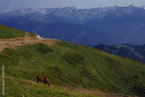 Grazing horses in the Caucasus mountains Sochi Russia Rosa Khutor, Krasnaya Glade Mountain stone pillar