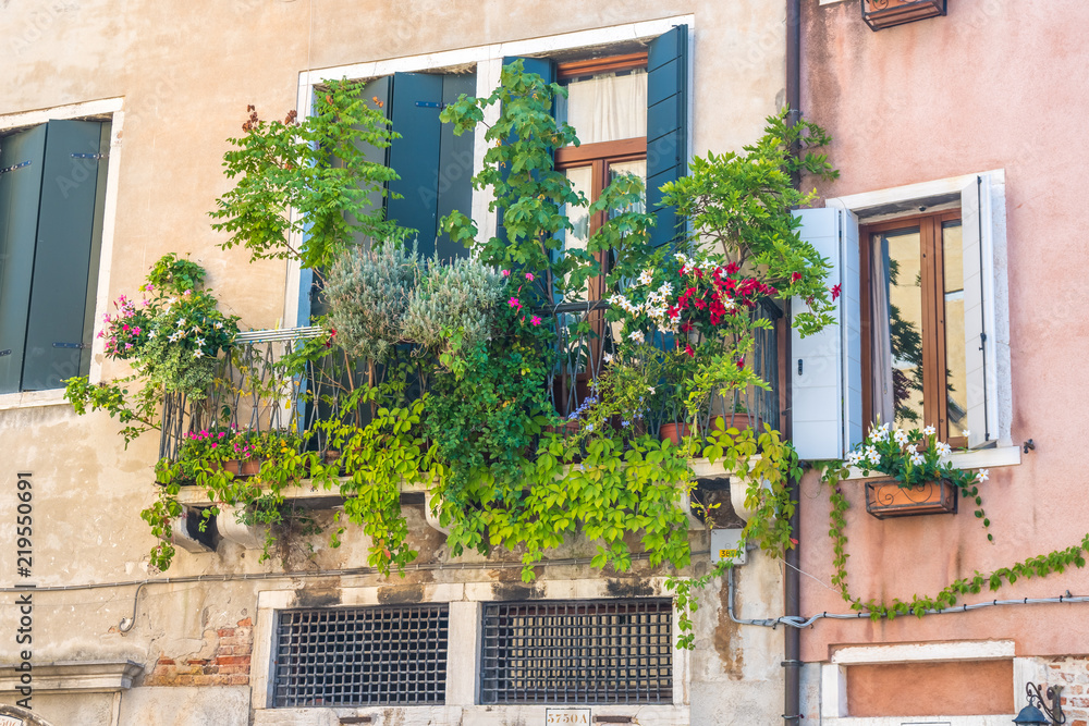 houses with flowers on the windows in venice