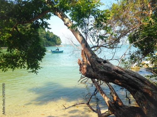 beach  boat  sea  tree  water  nature  landscape  penang  malaysia