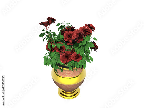 Fototapeta Naklejka Na Ścianę i Meble -  Vase mit Blumen