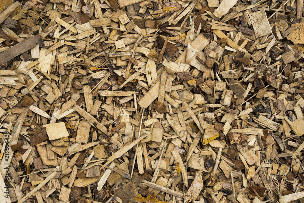 The texture of the wooden sawdust scattered on the surface as a coating. The texture of the wooden sawdust scattered on the surface as a coating.