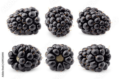 blackberry isolated on white background, clipping path, full depth of field