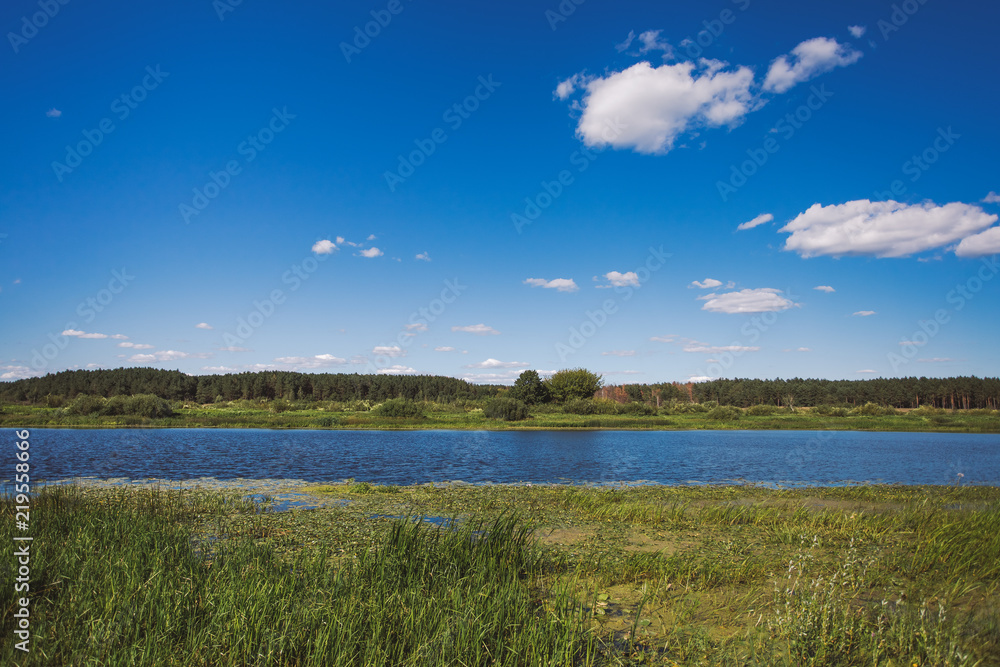Beautiful sunny summer landscape. Blue sky and white fluffy clouds, green trees and wild grass,  river water background. Horizontal color photo.