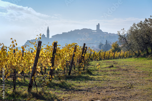 La campagna nella città di Castiglion Fiorentino, Toscana Italia