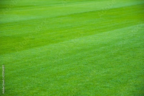 Outdoor stadium with green grass