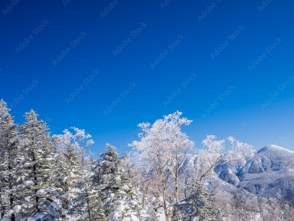 Winter landscape from Shiga-Kogen ski area in Japan. The tree ice is very beautiful and you can see the mountains in the distance. White snow is shining very much in the blue sky. Winter landscape from Shiga-Kogen ski area in Japan. The tree ice is very beautiful and you can see the mountains in the distance. White snow is shining very much in the blue sky.