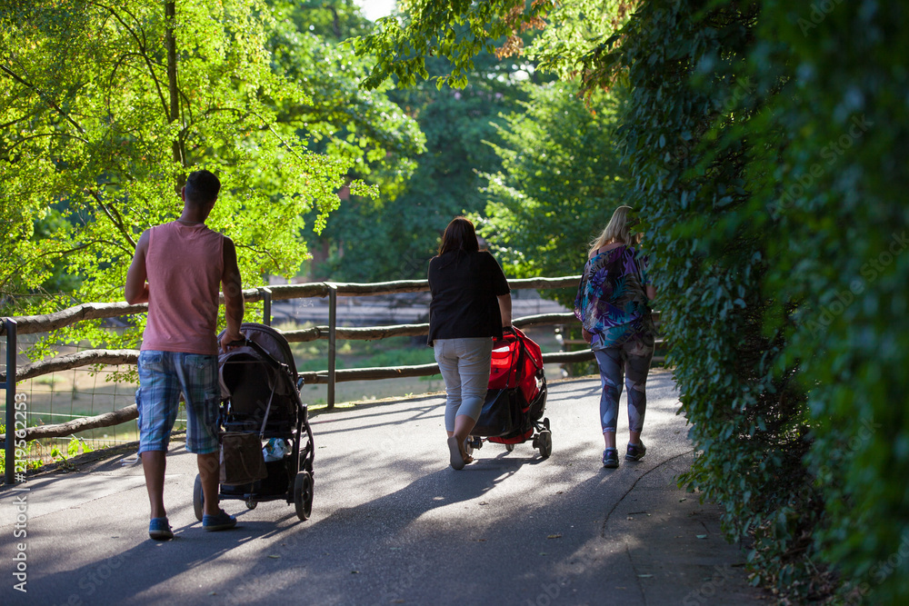 Obraz premium family walks with children in strollers in the Park