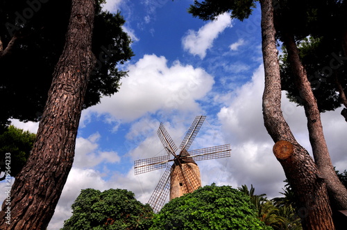 Obraz na płótnie Windmühle auf Mallorca w salonie