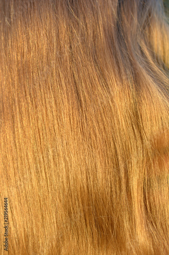 background from flaxen hair. vertical