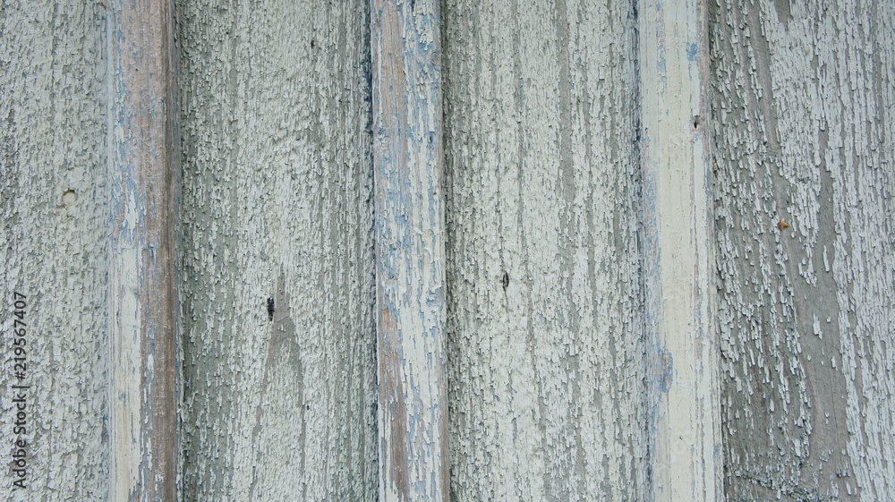 Fototapeta premium drewno tekstura deska
