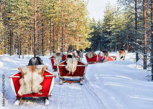 Reindeer Safari Sledge in Winter Forest at Rovaniemi Finland Lapland © Roman Babakin
