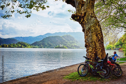 Bicycles parked at tree on Bled Lake Slovenia photo