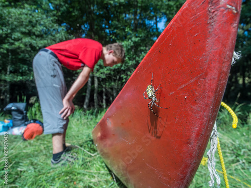 Huge, colorful spider on red cano photo