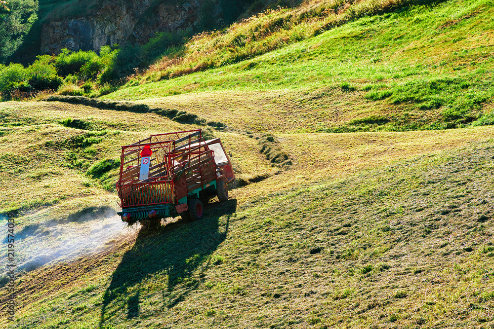 Fototapeta premium Worker cutting hay on meadow CH