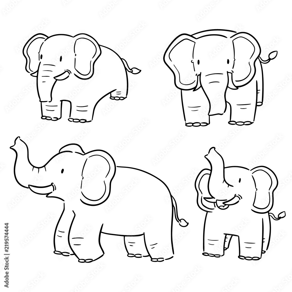 Fototapeta vector set of elephant
