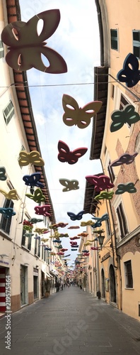 Pietrasanta, Italy - August 25 2018: Garibaldi street in Pietrasanta in Italy is decked with the butterflies, opera Mariposas by Manolo Valdès. 