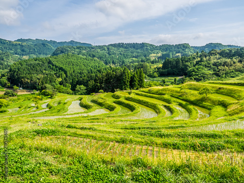 It is a rice terrace in Japan. This rice paddy raises rice with a rice field made on the slope. Green is shining and it is very beautiful. © Tom Spark