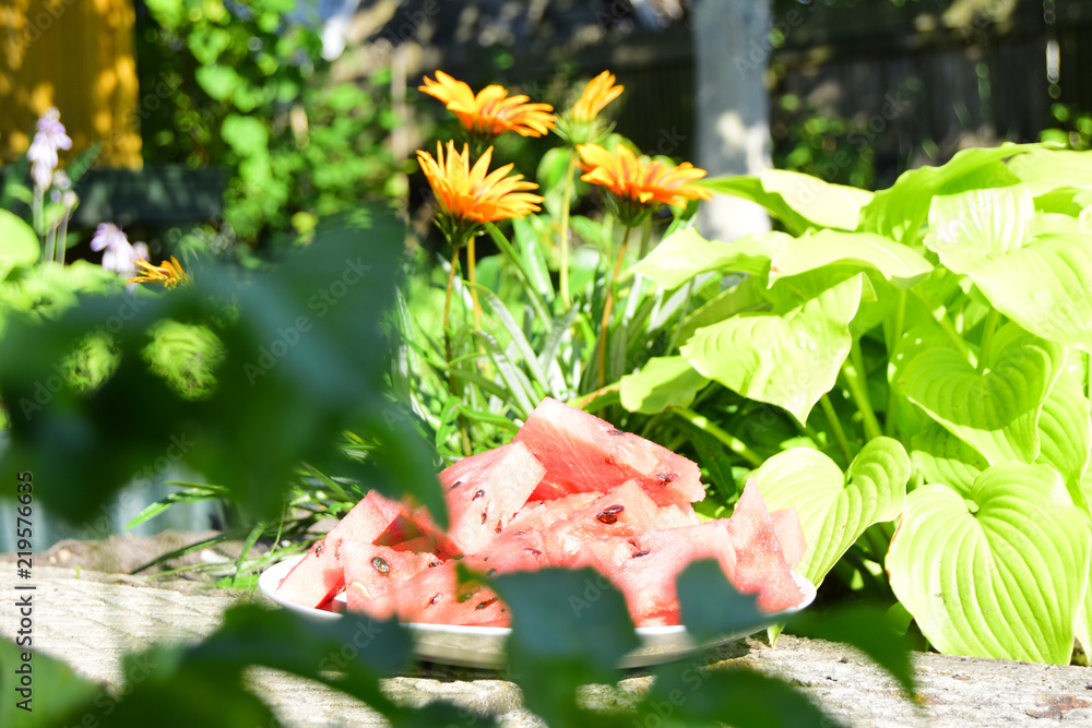 the red ripened watermelon is on a plate against the background of a grass and flowers. Watermelon is cut by parts. the red ripened watermelon is on a plate against the background of a grass and flowers. Watermelon is cut by parts.
