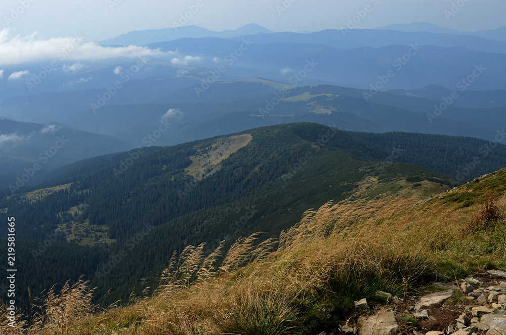 Ukraine. The peaks of the Carpathian Mountains. Mountain ranges covered with forests under blue clouds