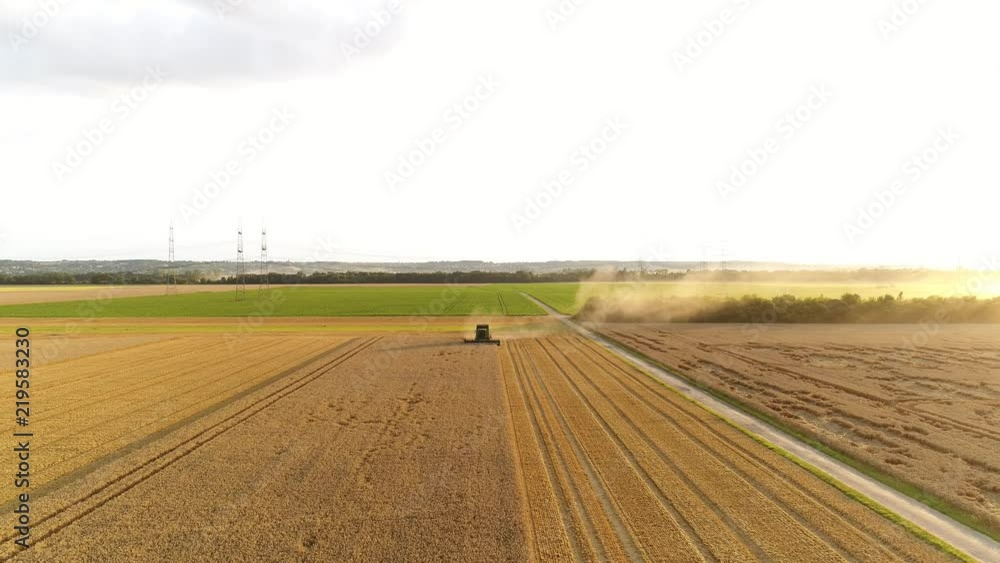 AERIAL of a harvester on a wheat field AERIAL of a harvester on a wheat field
