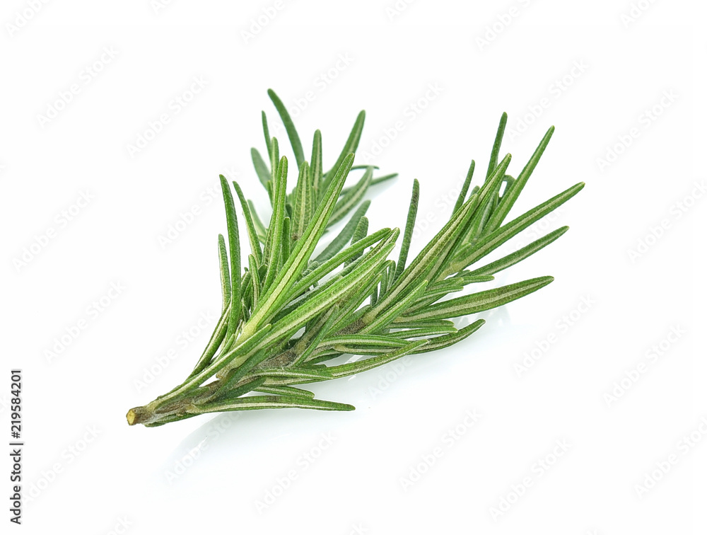 Fototapeta premium świeży rozmaryn na białym tle