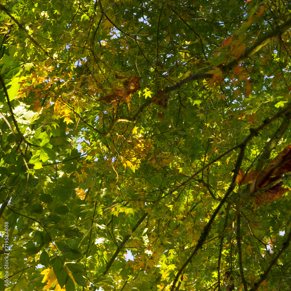Changing Seasons Changing Seasons