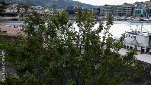 Marineholmen, Puddefjorden and Solheimsviken in Bergen photo