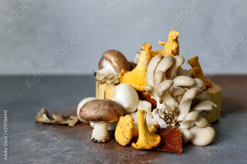 Mushrooms different mushrooms, chanterelles, oyster mushrooms on a gray background.
