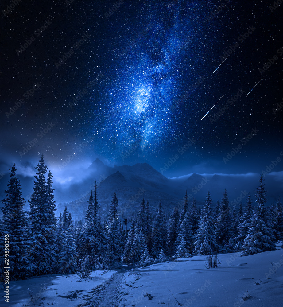 Fototapeta premium Góry Tatry zimą w nocy ze spadającymi gwiazdami, Polska