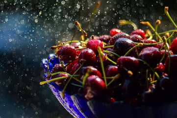 Crédence de cuisine  Fresh red   © Lubov