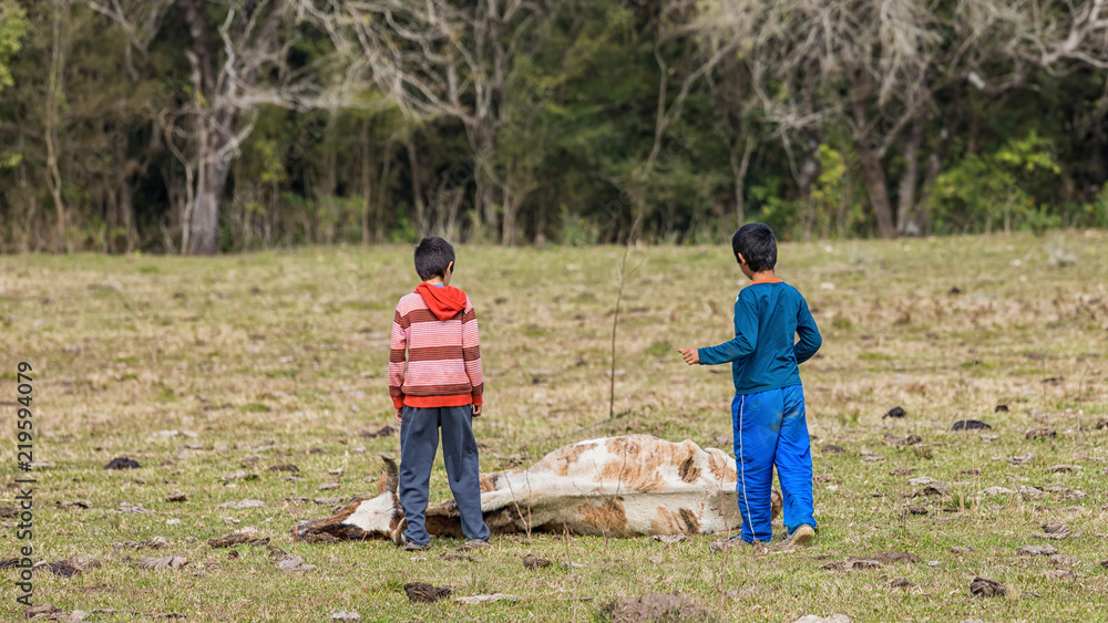 Two little boys in front of a dead cow, in a pasture in Paraguay. Two little boys in front of a dead cow, in a pasture in Paraguay.