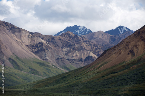 Denali National Park Green Transit Bus Tour 