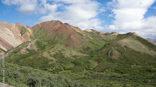 Denali National Park Green Transit Bus Tour 